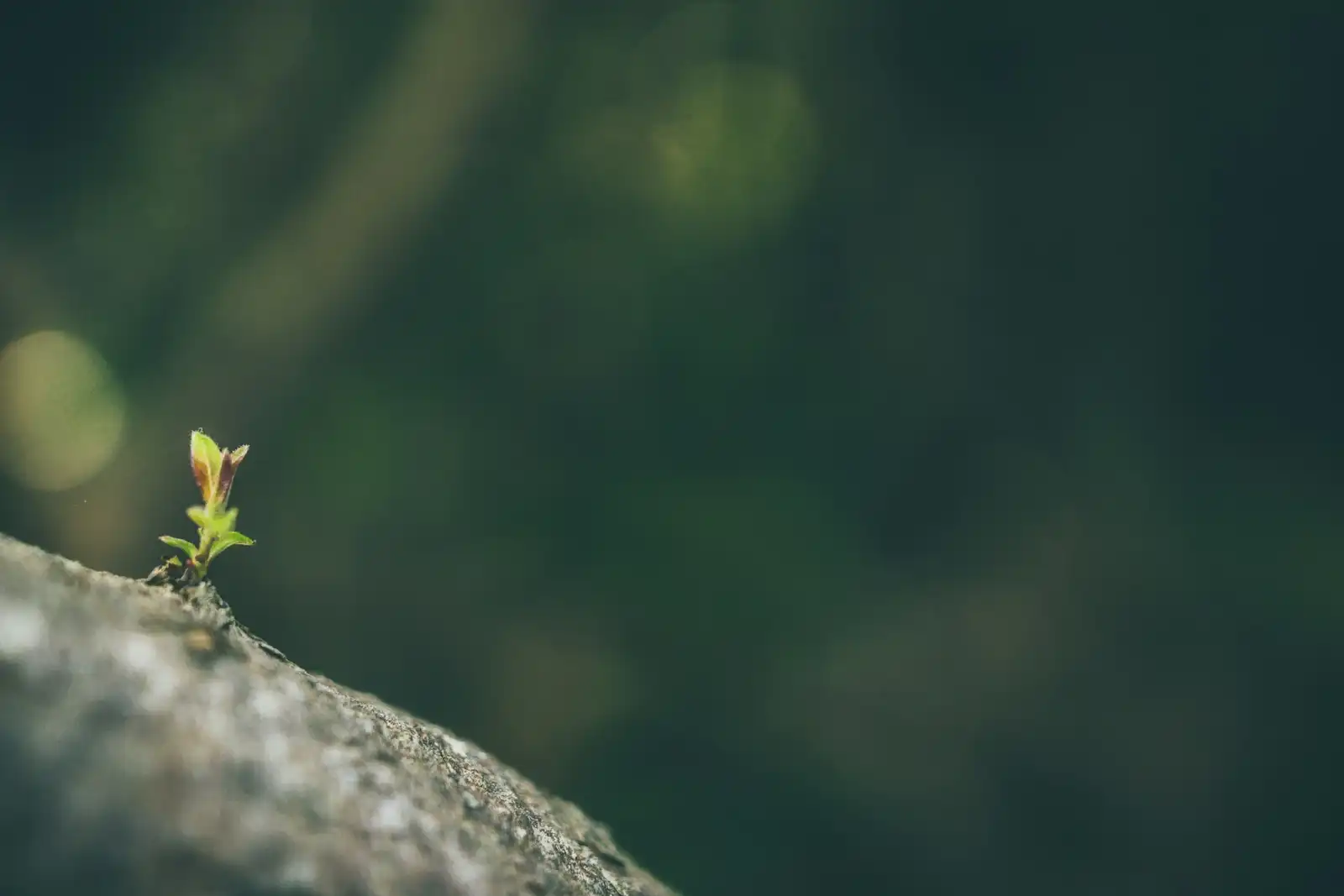 Micro & Nano Conversions – The Hidden Drivers Of Ecommerce Growth